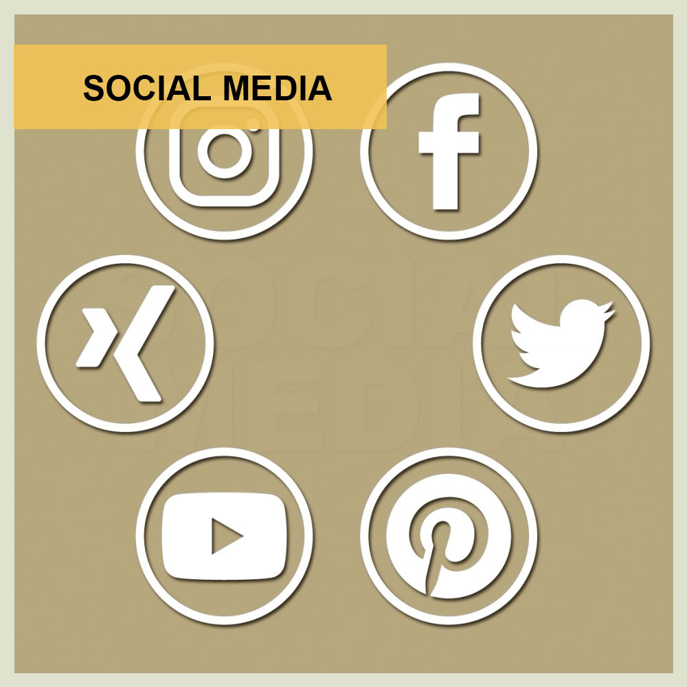 Social Media soziale Medien Facebook Instagram LinkedIn Xing Twitter You Tube Content Management