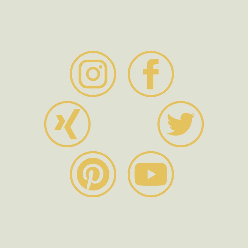 Sociale Medien Instagram Facebook Xing Twitter Youtube Pinterest