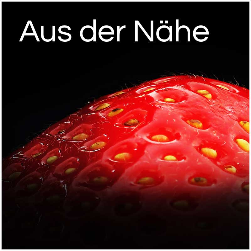 Makrofotografie Medienagentur Leipzig