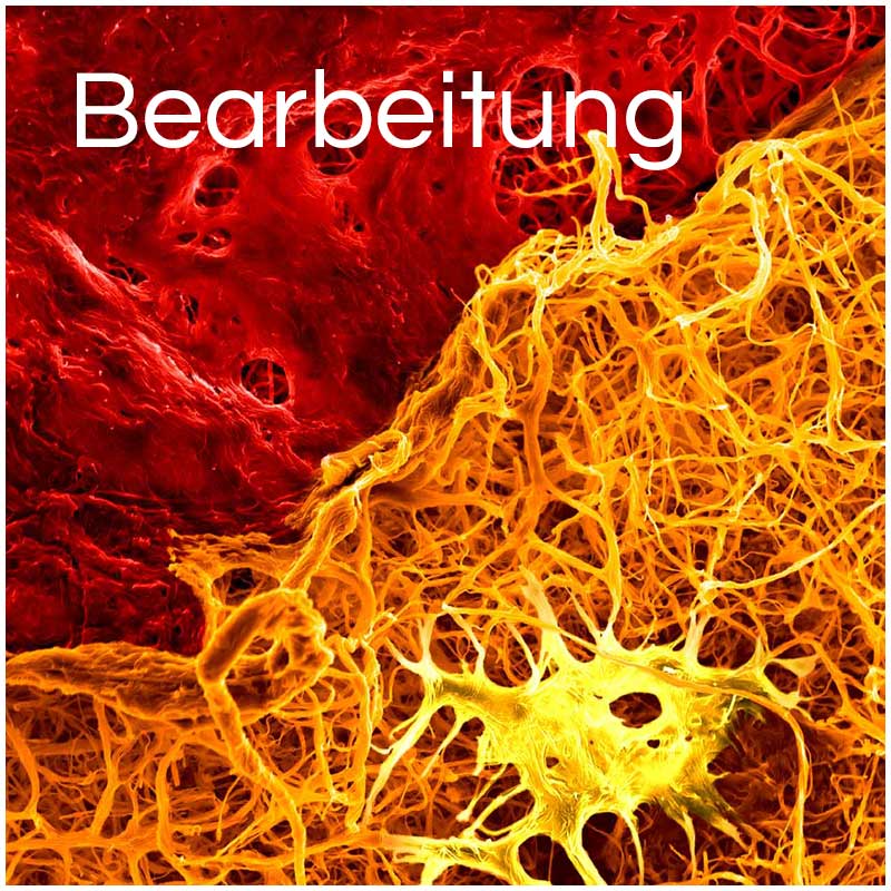 Bildbearbeitung Photoshop