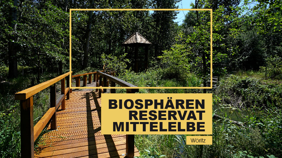 Biosphärenreservat Mittelelbe