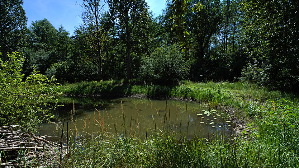 Biosphärenreservat Mittelelbe
