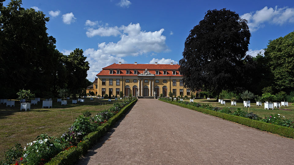 Schloss Mosigkau bei Dessau
