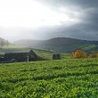 23%2011%2024%20magden%20schweiz%20002