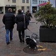 23%2011%2024%20magden%20schweiz%20rheinfelden%20001